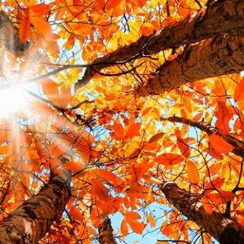 A FABULOUS Fall Bucket List! - Bannor Toys