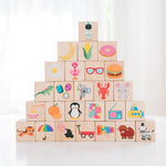 Picture Alphabet Blocks - Bannor Toys