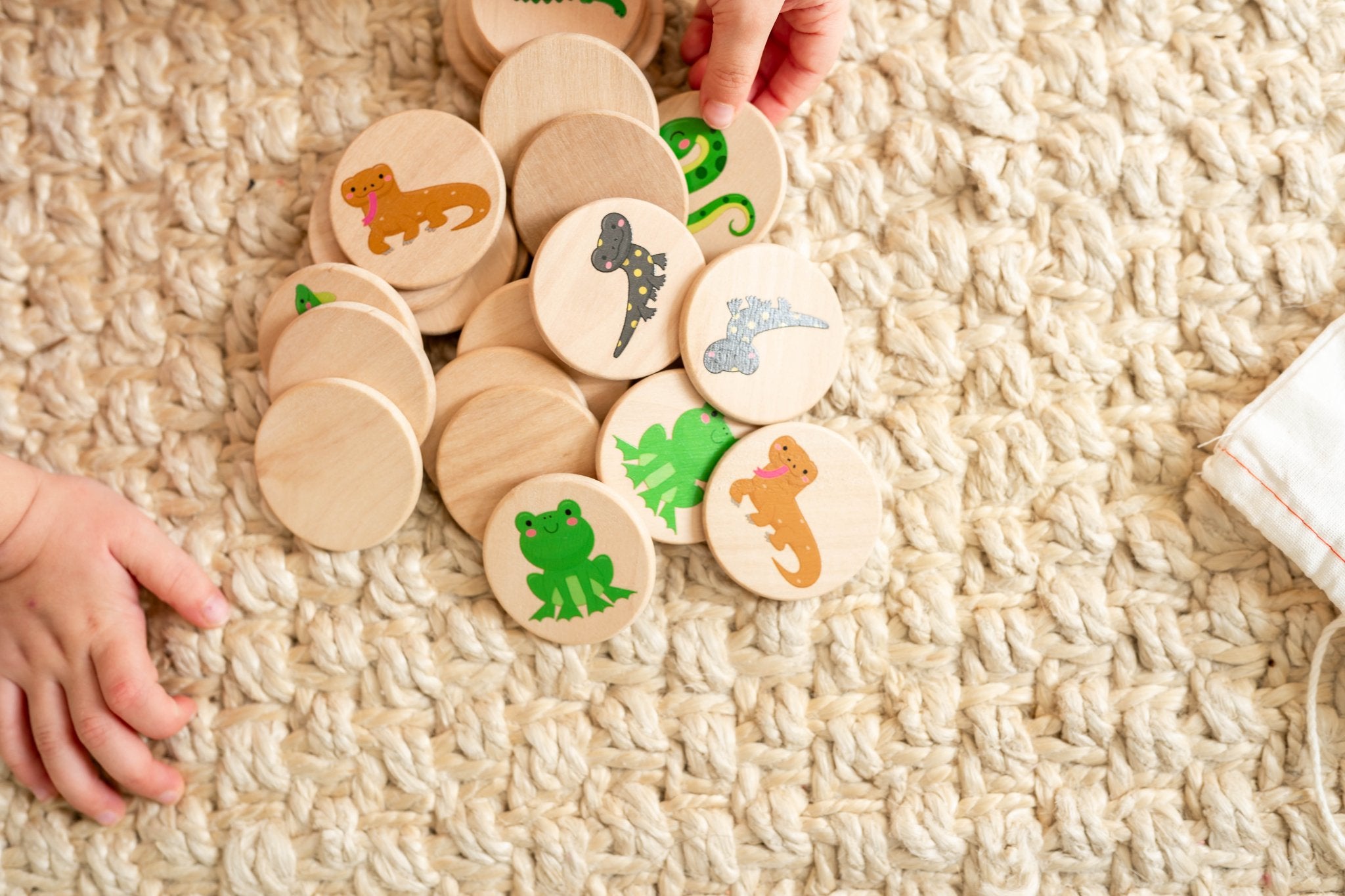 Reptiles Matching Tiles - Bannor Toys