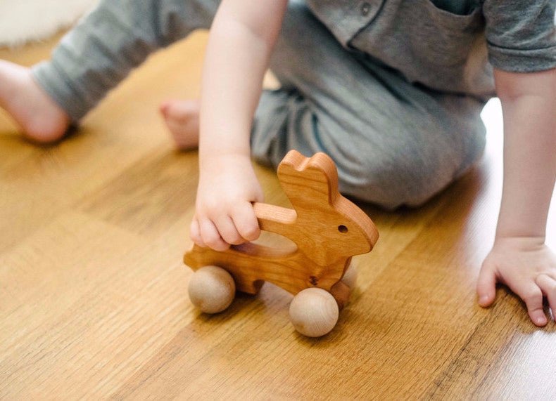 Bunny Push Toy - Bannor Toys