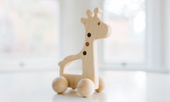 Giraffe Push Toy - Bannor Toys