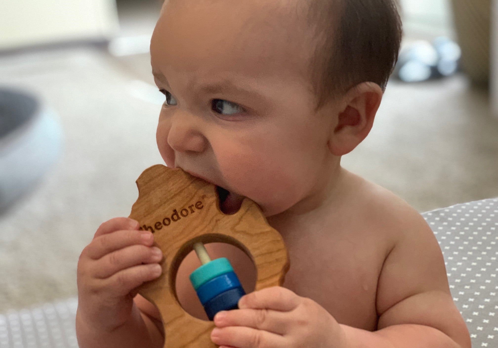 Michigan (Lower Peninsula) Wooden Baby Rattle™ - Bannor Toys