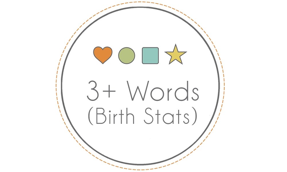 Personalization - 3+ Words / Birth Stats – Bannor Toys