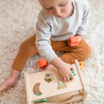 Shape Sorter - Wood + Silicone - Bannor Toys