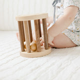 Roll-A-Rattle