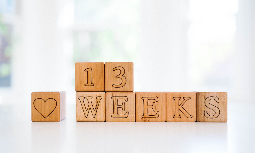 Bump & Baby Milestone Blocks - Bannor Toys