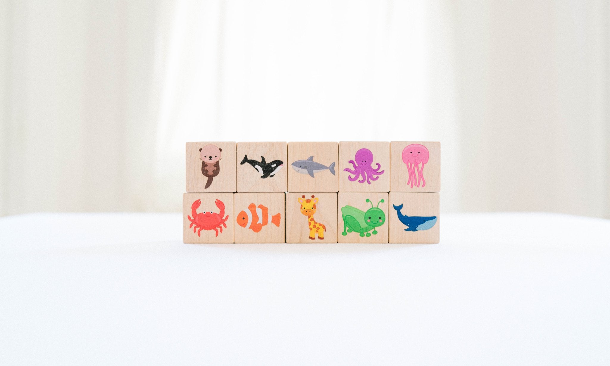 Color Blocks - Bannor Toys