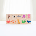 Color Blocks - Bannor Toys