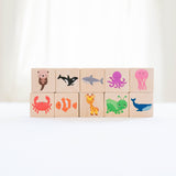 Color Blocks - Bannor Toys