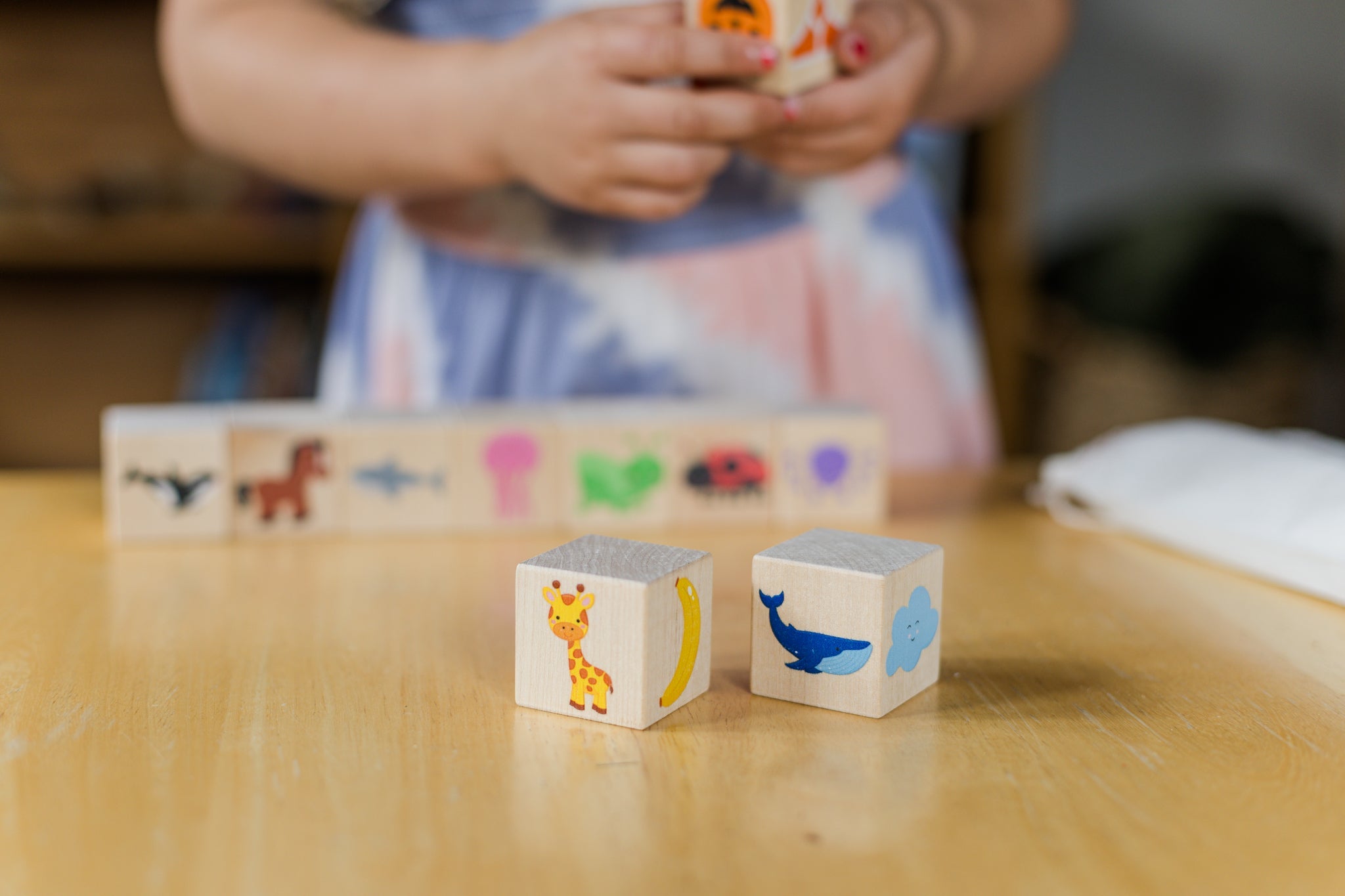 Color Blocks - Bannor Toys