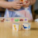 Color Blocks - Bannor Toys