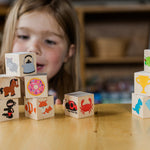 Color Blocks - Bannor Toys