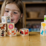 Color Blocks - Bannor Toys