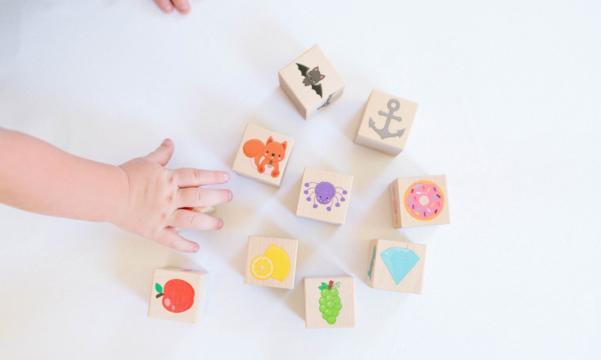 Color Blocks - Bannor Toys