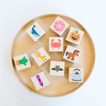 Color Blocks - Bannor Toys