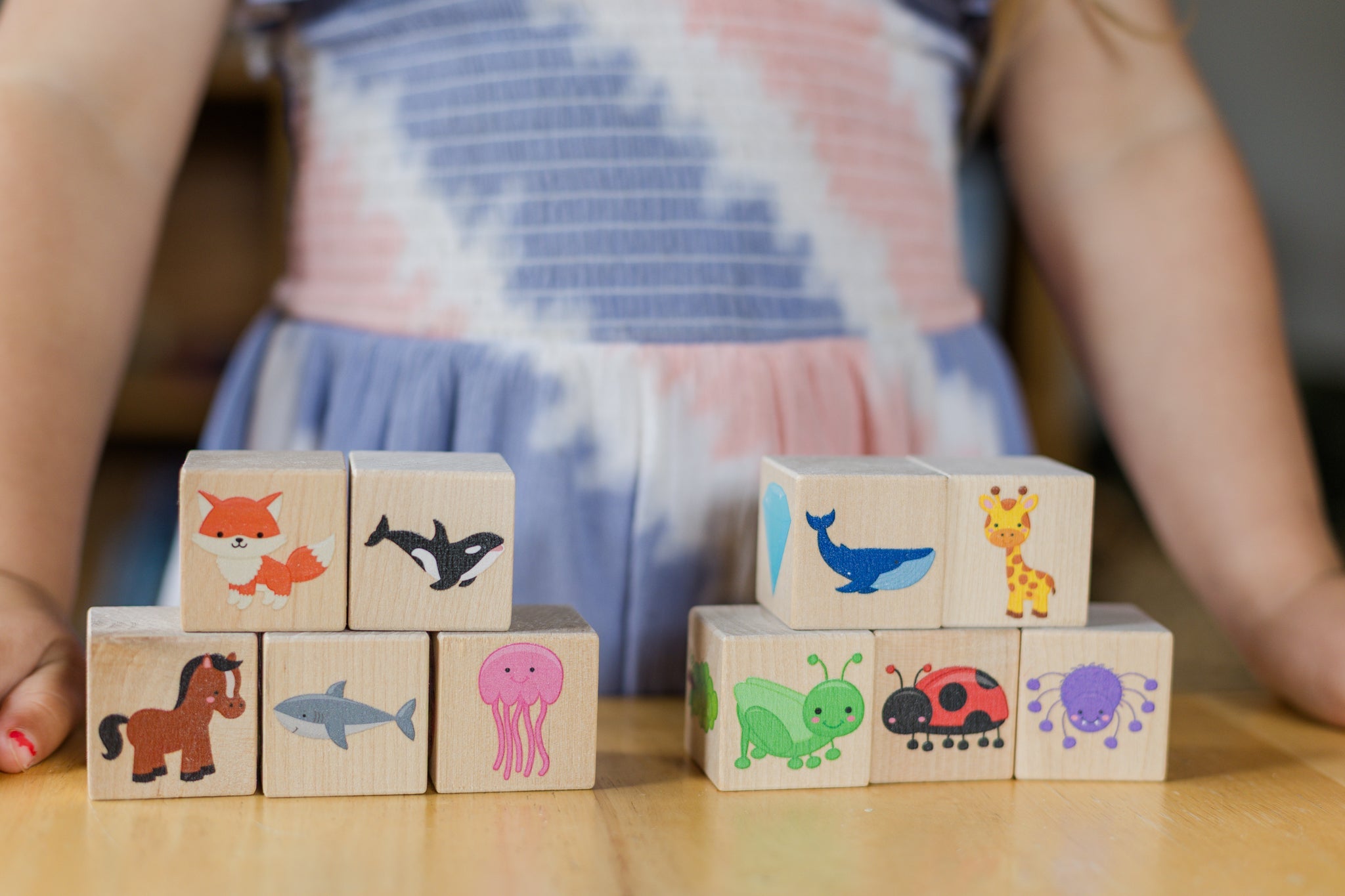 Color Blocks - Bannor Toys