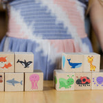 Color Blocks - Bannor Toys