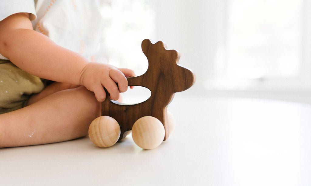 Moose Push Toy - Bannor Toys