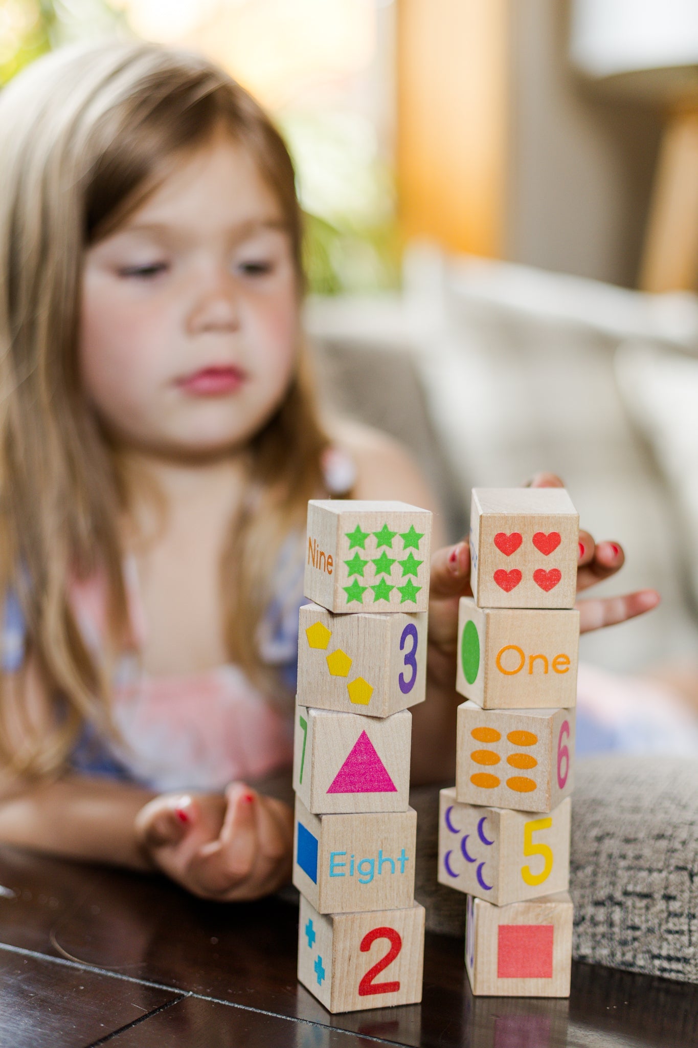 Number + Shape Blocks - Bannor Toys