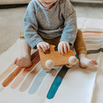 Train Push Toy - Bannor Toys