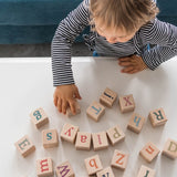 Alphabet Blocks - Bannor Toys