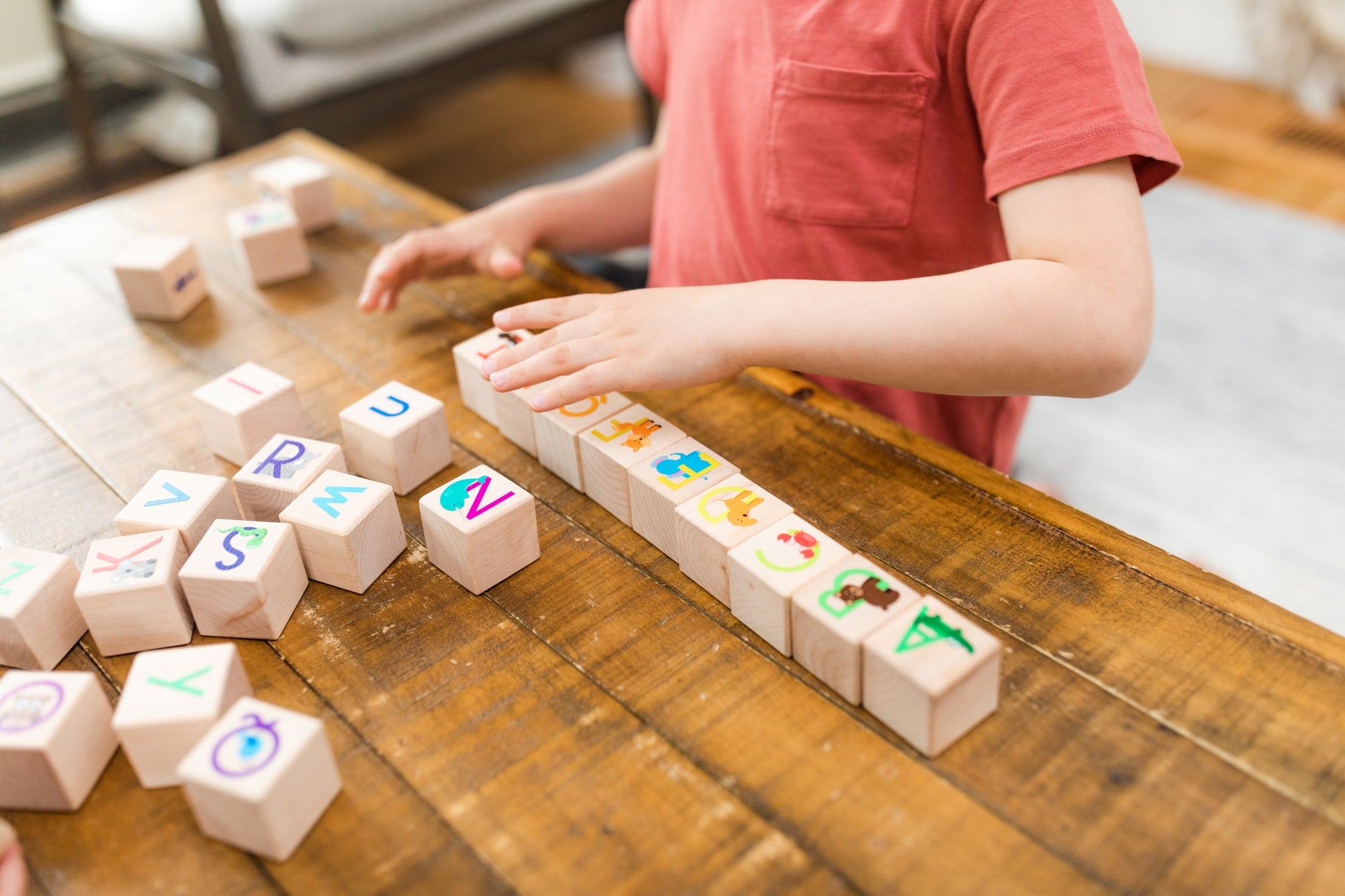 Animal ABC Blocks - Bannor Toys