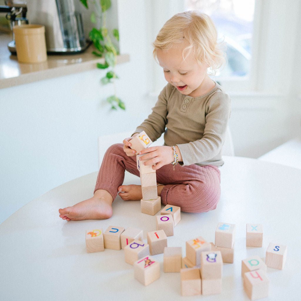 Animal ABC Blocks - Bannor Toys