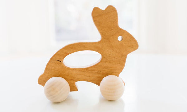 Bunny Push Toy - Rolling Toys for Baby – Wee Gallery