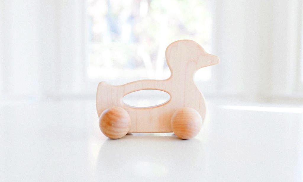 Duck Push Toy - Bannor Toys