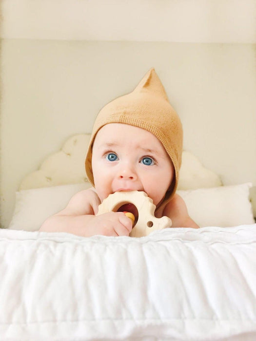 Hedgehog Wooden Baby Grasping Toy - Bannor Toys