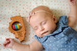 Illinois State Wooden Baby Rattle™ - Bannor Toys - State Rattle